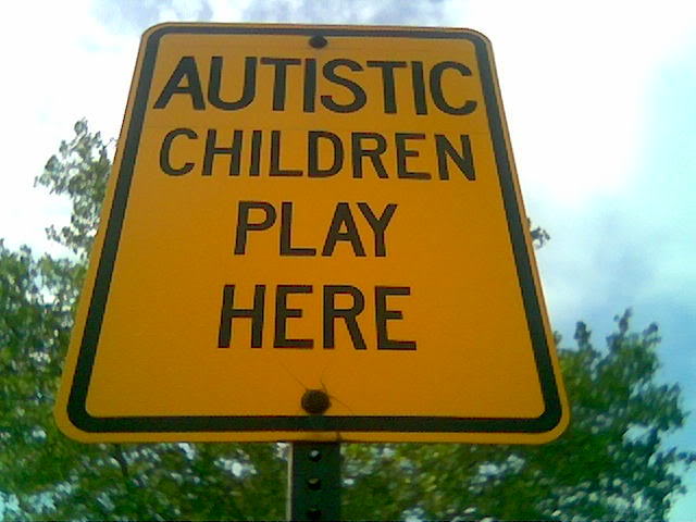 Image result for autistic children play here