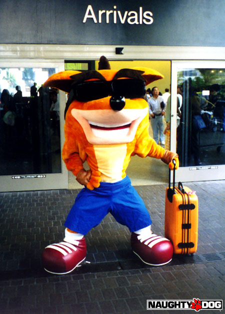 crash-bandicoot-sunglasses-57b247706b056.jpeg