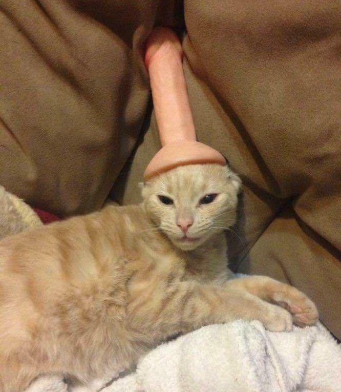 Dickhat 