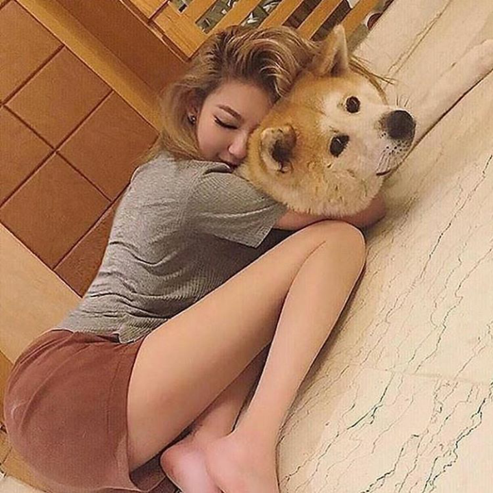 Poem about dogs. Who like a dogs out. My sister like dogs. Do you like dog картинки. Стих про собаку для детей.