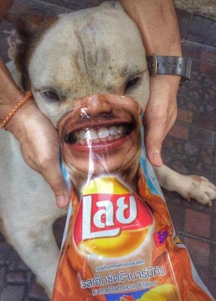shitpostbot 5000