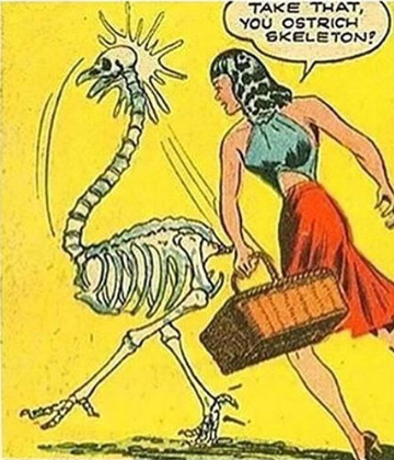t rex and ostrich skeleton
