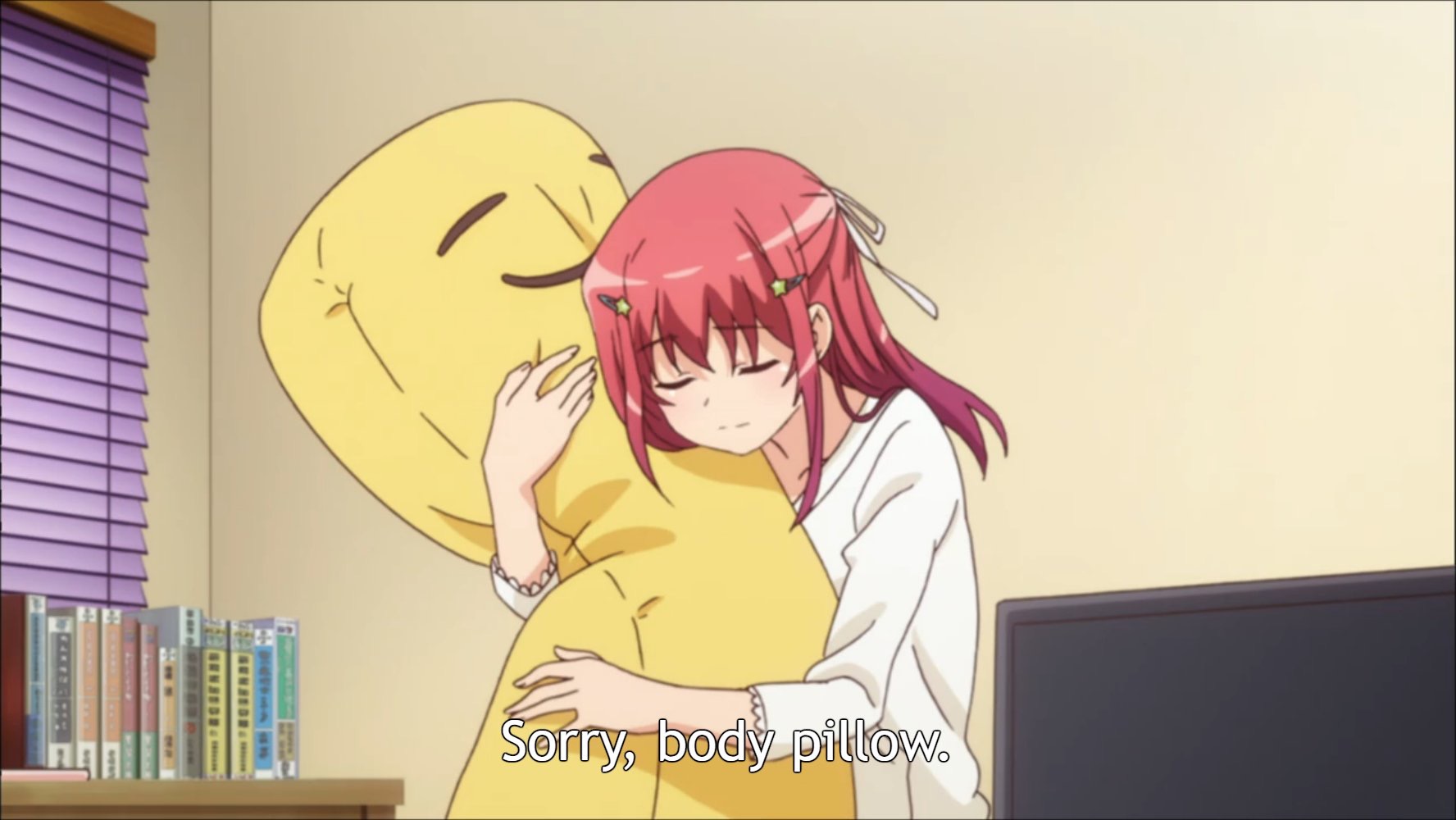 Sorry Body Pillow.