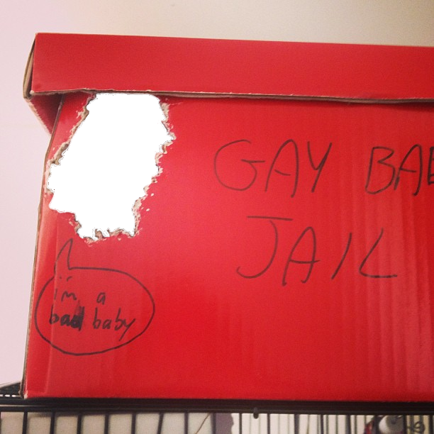Gay baby jail soon everyone will know about your furry addiction alex like what you see