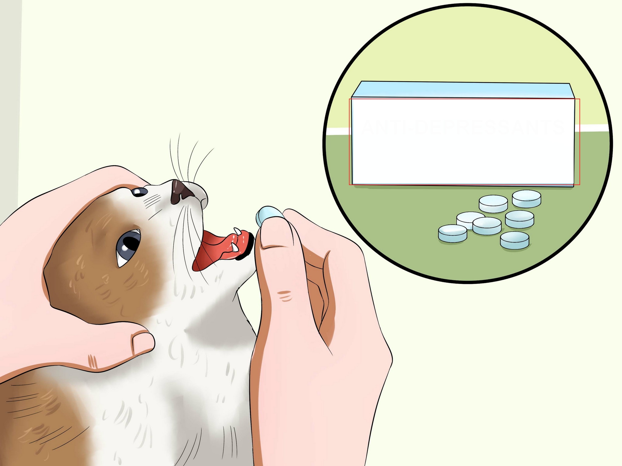 Pill cat.