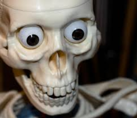 shocked-skeleton-5802a30e2c83a.jpeg